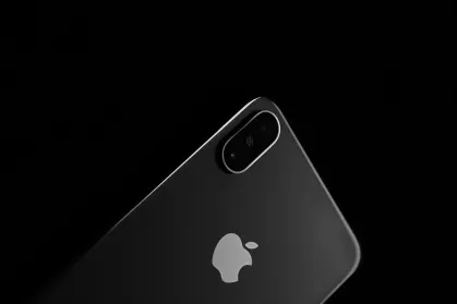 Casino King Crab Mobile App